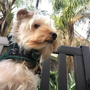 Meet your Posher, Mary